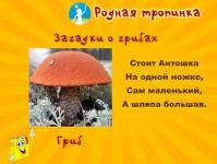 Riddles about mushrooms (with answers)