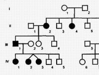 มรดกประเภท X-linked