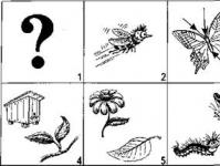 สรุปบทเรียนเกี่ยวกับการพัฒนาคำพูดที่สอดคล้องกันช่วงการศึกษาที่ 3